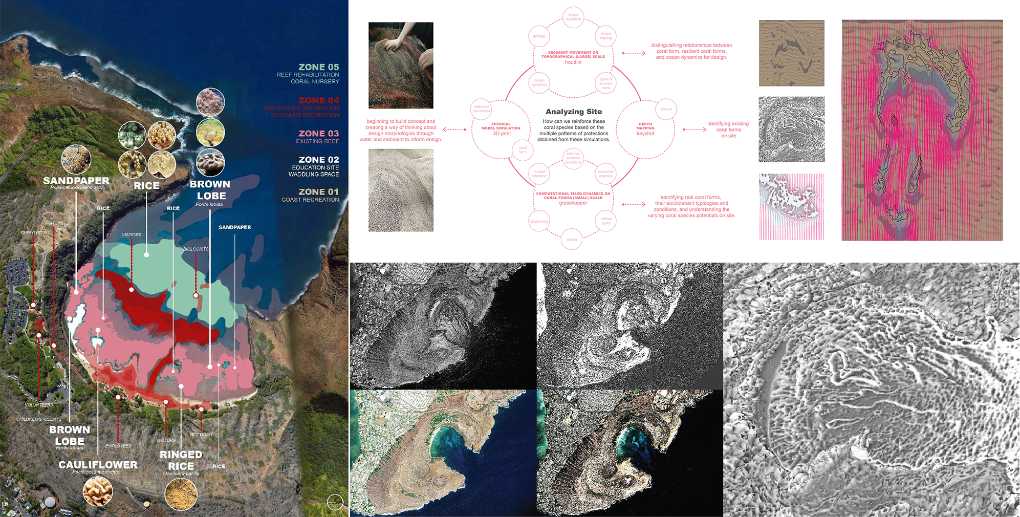 Tactical Sedimentation of Architectural Reef System