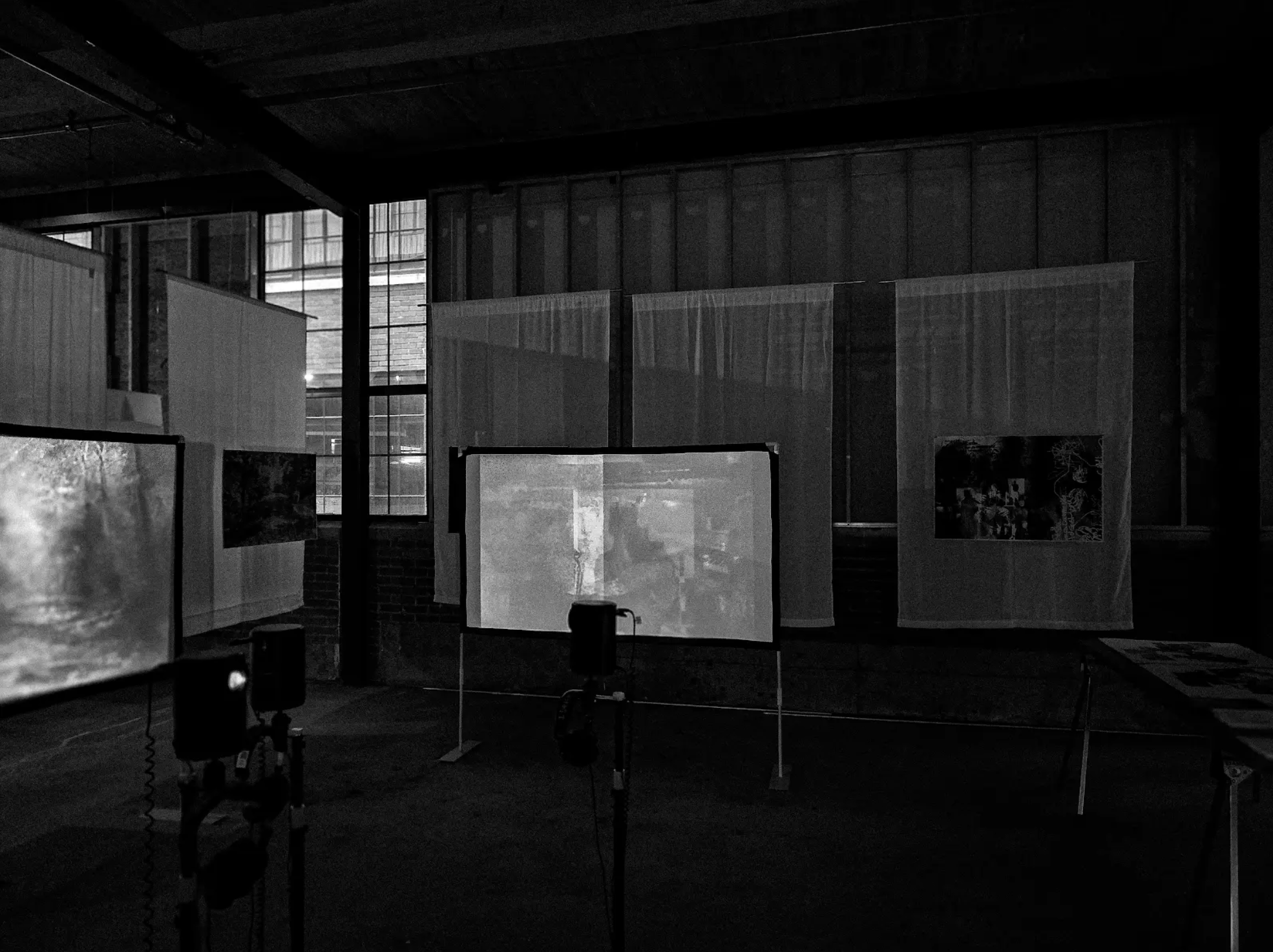 elizabeth laman thesis project