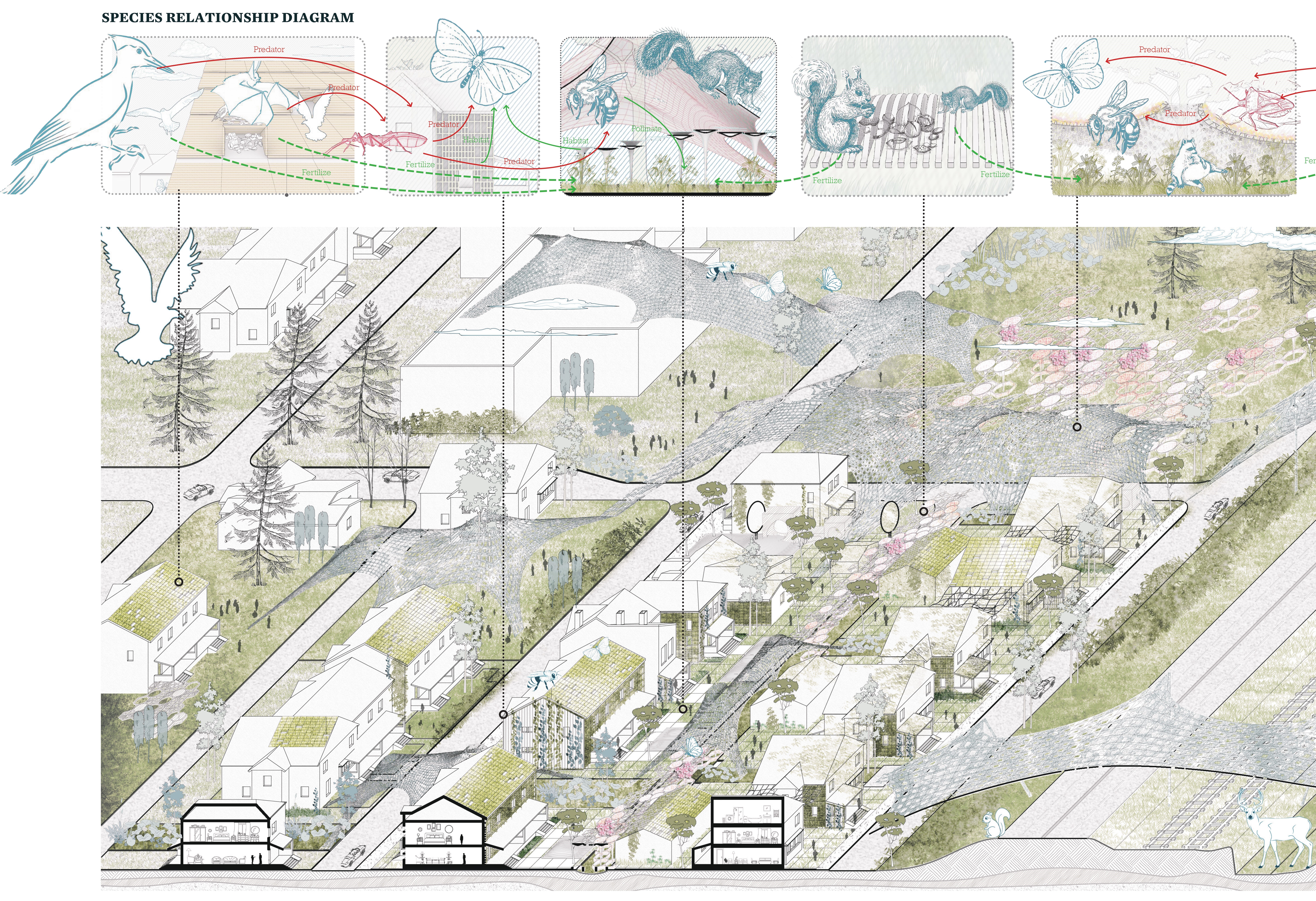 M.Arch student work from Praxis I: Design for Transitions.