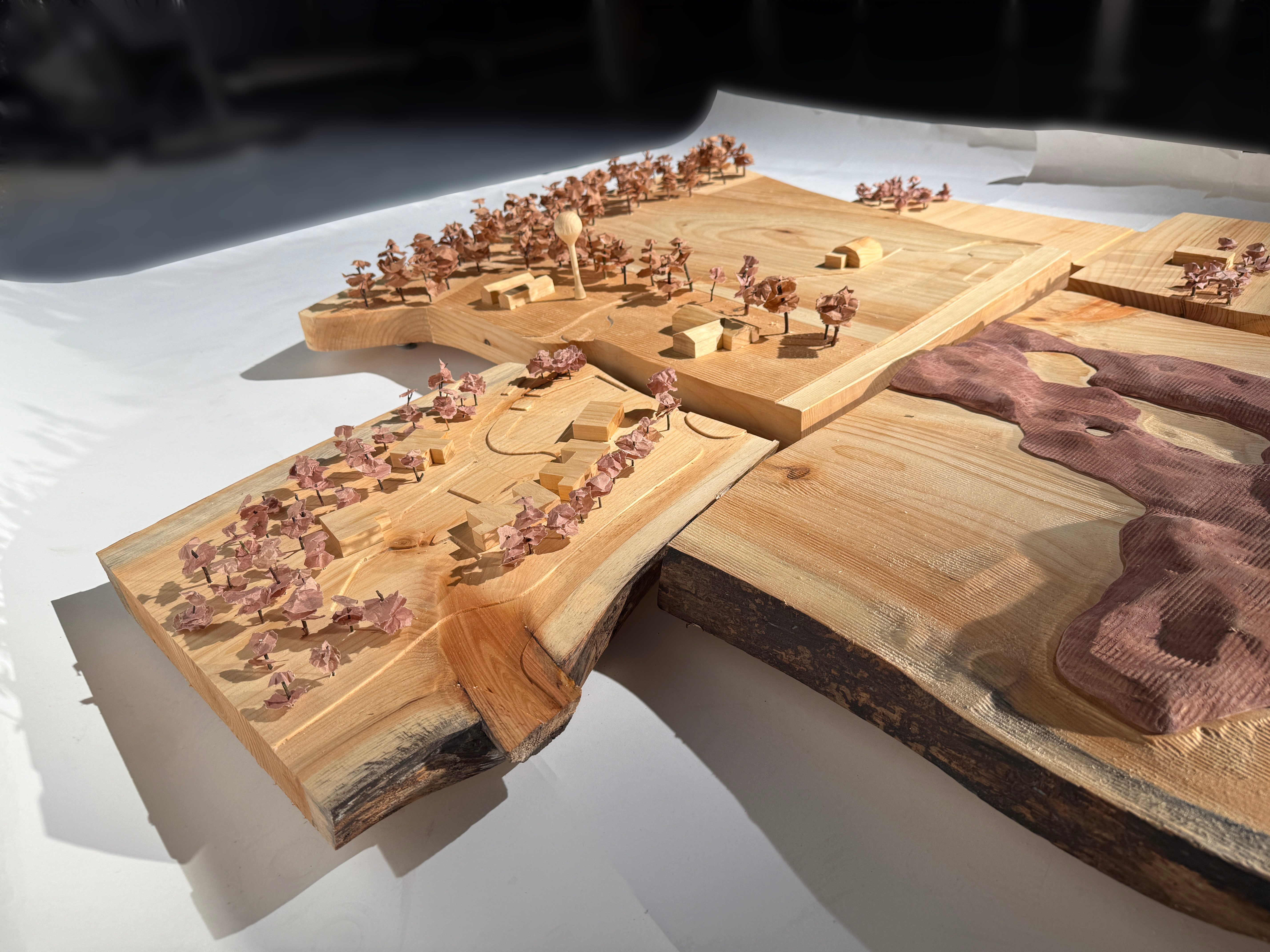 M.Arch Student Work