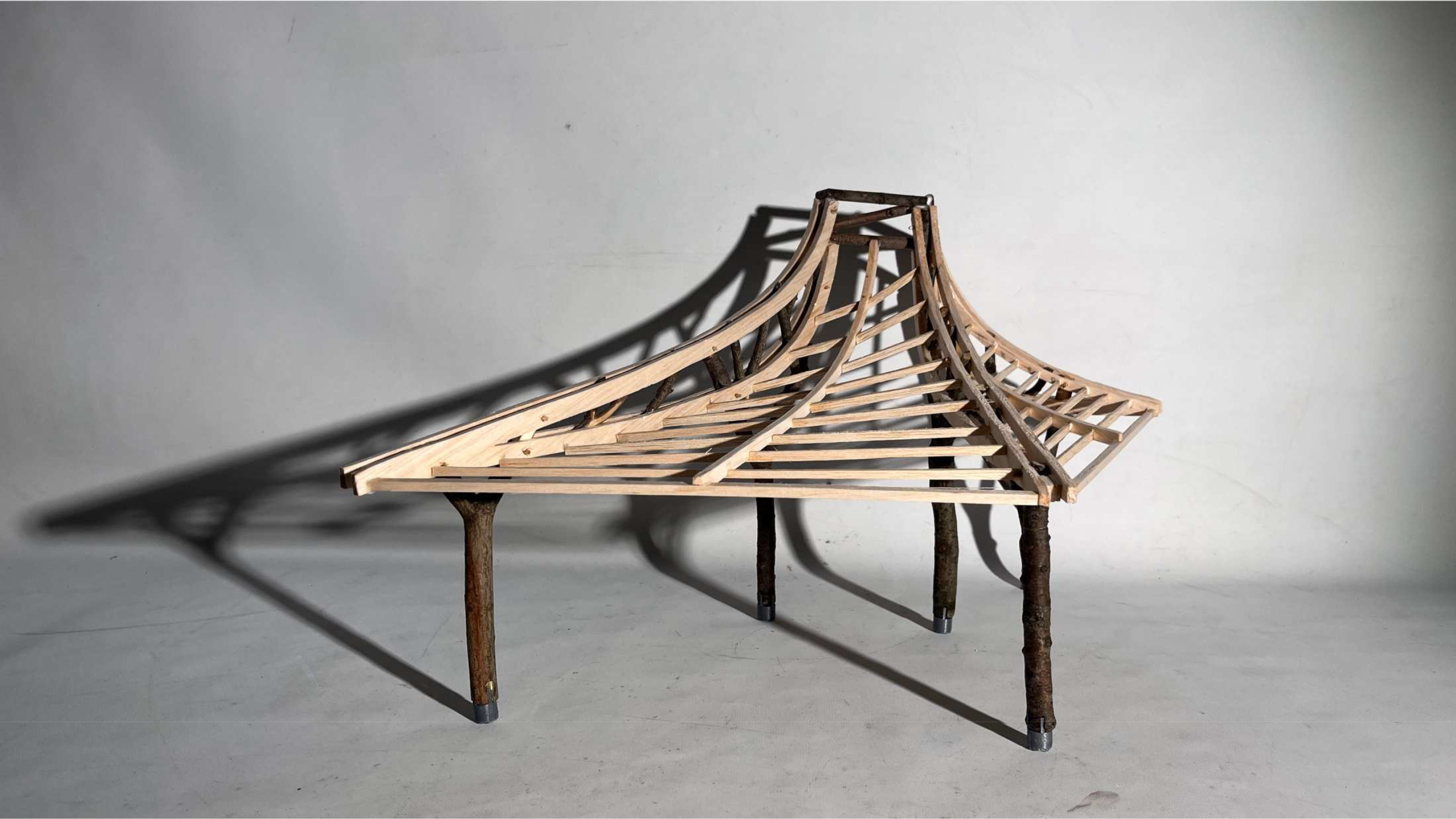M.Arch student work from Praxis II: Physics of Worldshaping.