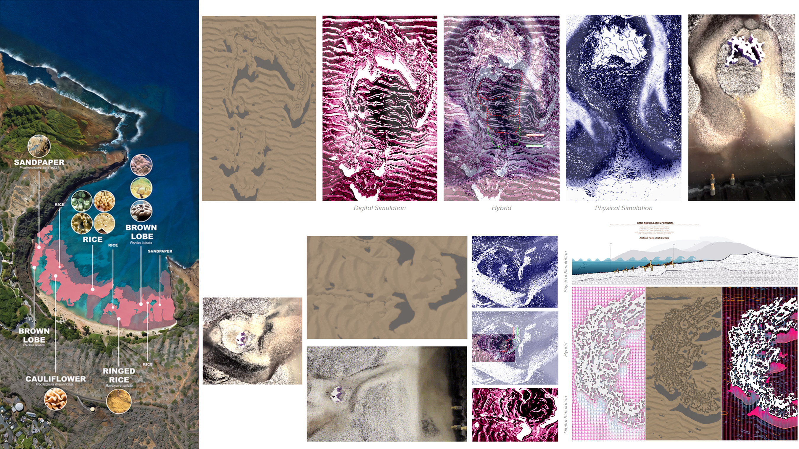 Tactical Sedimentation of Architectural Reef System