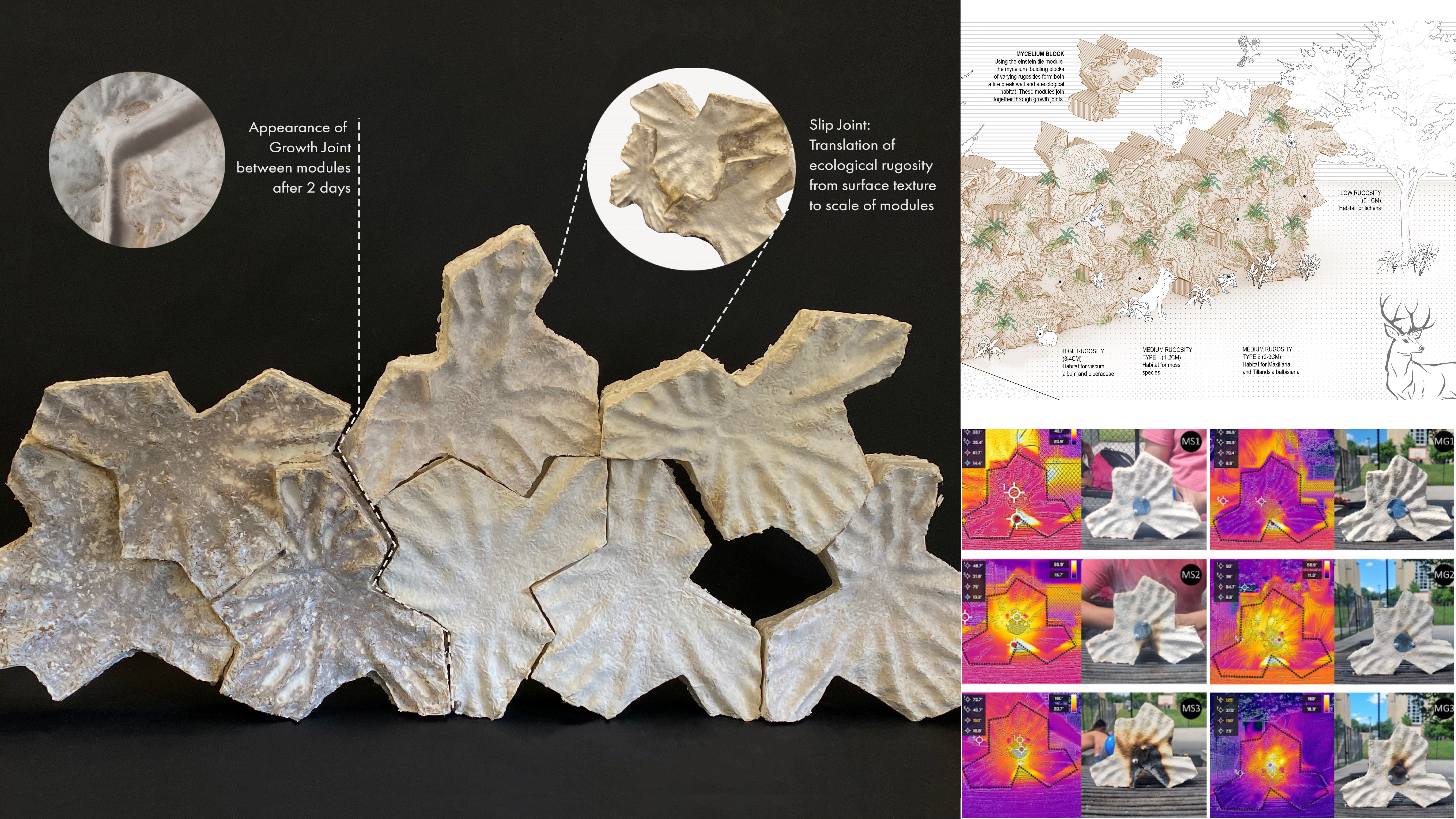 MycoFlame: Mycelium resiliency project