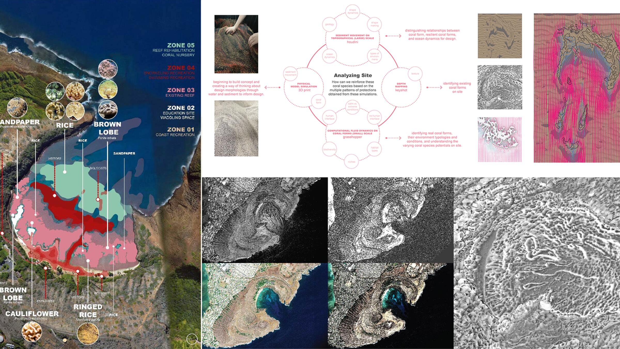 Tactical Sedimentation of Architectural Reef System