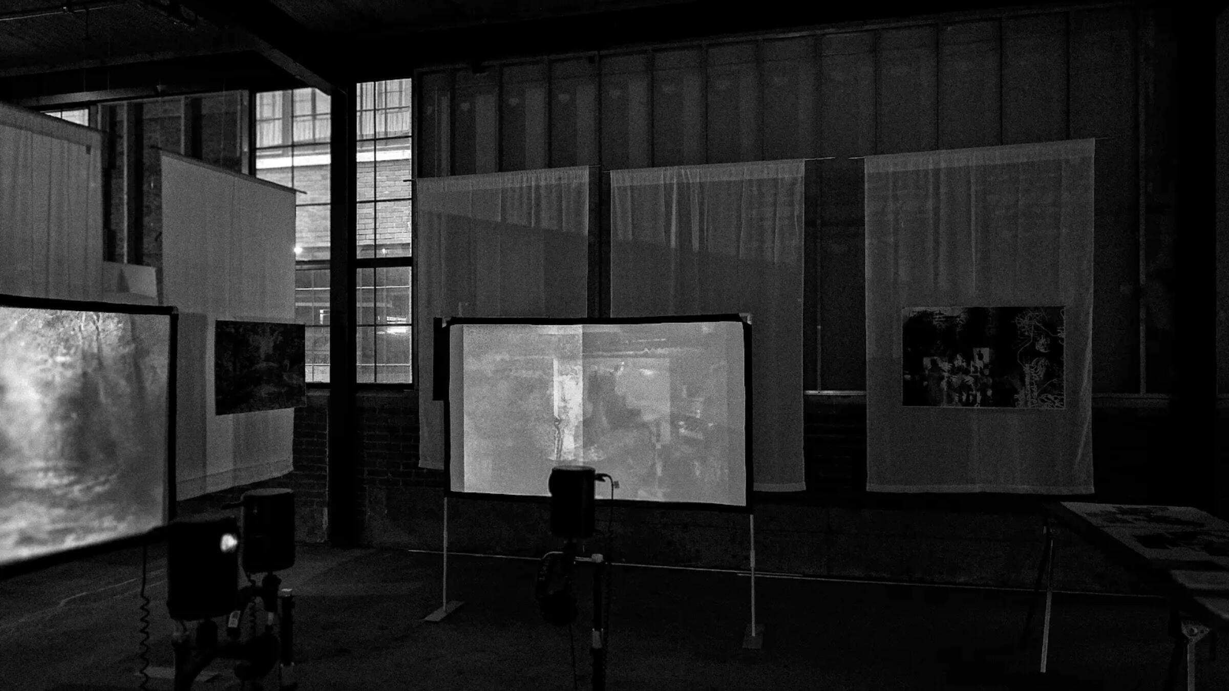 elizabeth laman thesis project