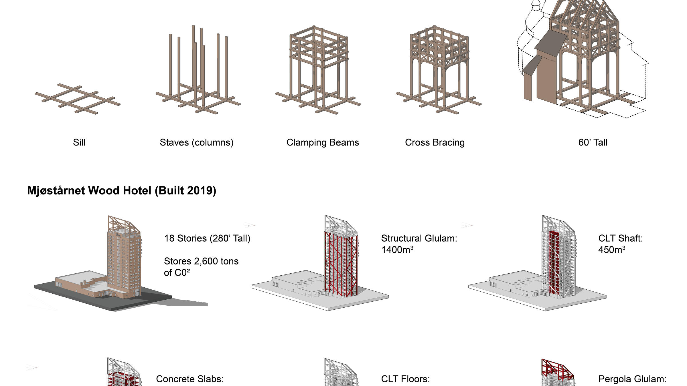 timber graphic
