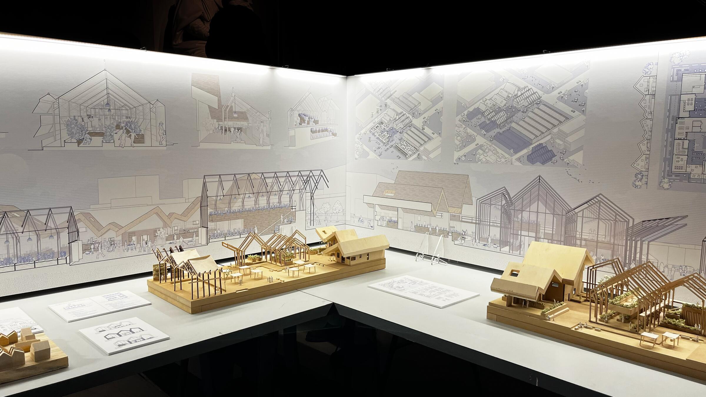M.Arch Student Work