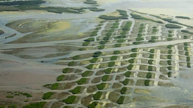 illustration of the Mississippi River delta