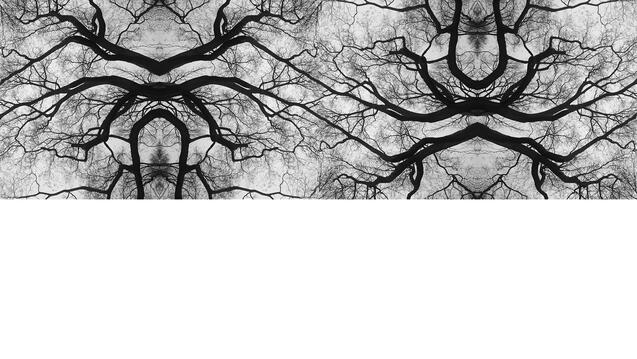Image by Nathan Felde