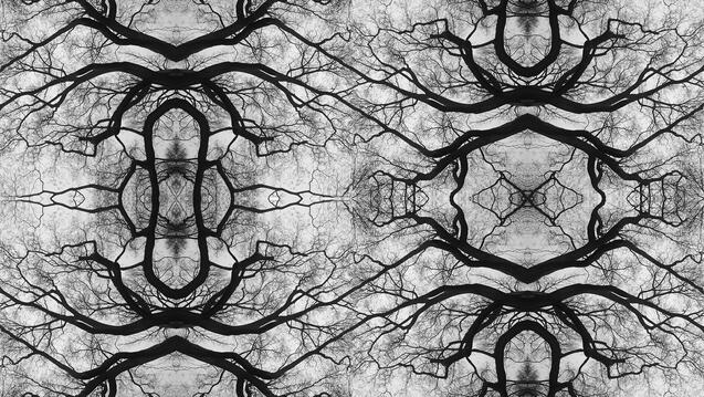 Cybernetics entanglement