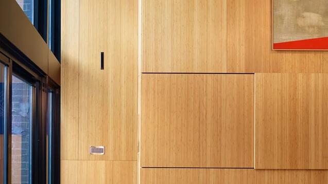 an architectural interior with blonde colored wood paneling and a tall window