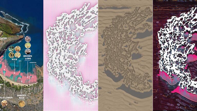 Tactical Sedimentation of Architectural Reef System Colleen Duong (MSSD'22)