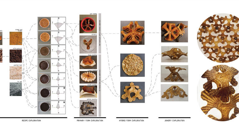 Campus Harvest: Bioplastics beyond the table