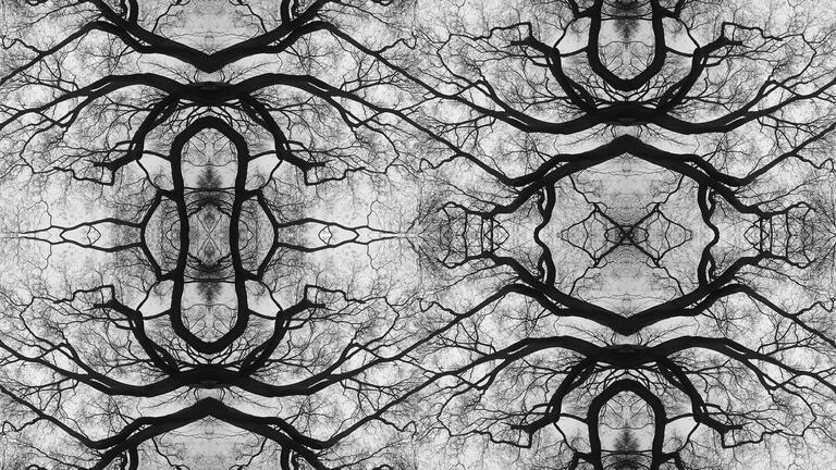 Cybernetics entanglement