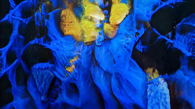 Carnival-AI Blue Devils. Image by Vernelle A. A. Noel.