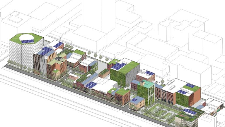 "A Toolkit of Sustainable Surfaces for Climate Change Mitigation and Adaptation," Laura Lasariia (MSBPD '24).
