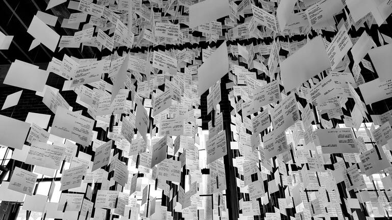 Installation view of Henry von Rintelen's thesis work, Spring 2025.