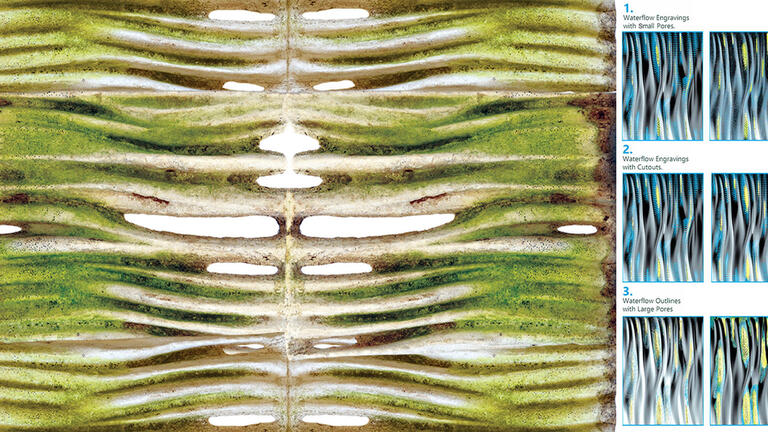 Moss Regimes © Epiphyte Lab, 2016-2018