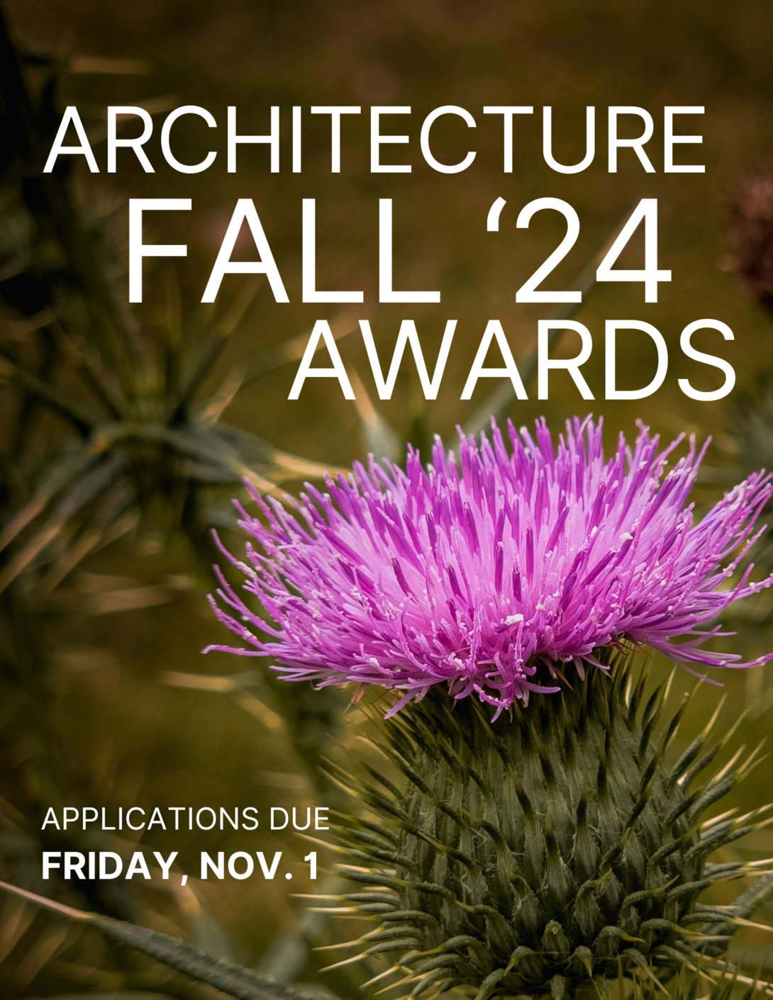Architecture Fall '24 Awards digital screen poster with a photo of a thistle as background