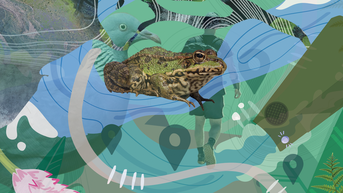 Image from Critter Connect, a project from Mathilde Gouin, Ph.D. candidate at the Instituto Superior Técnico, University of Lisbon and the CMU Portugal program.